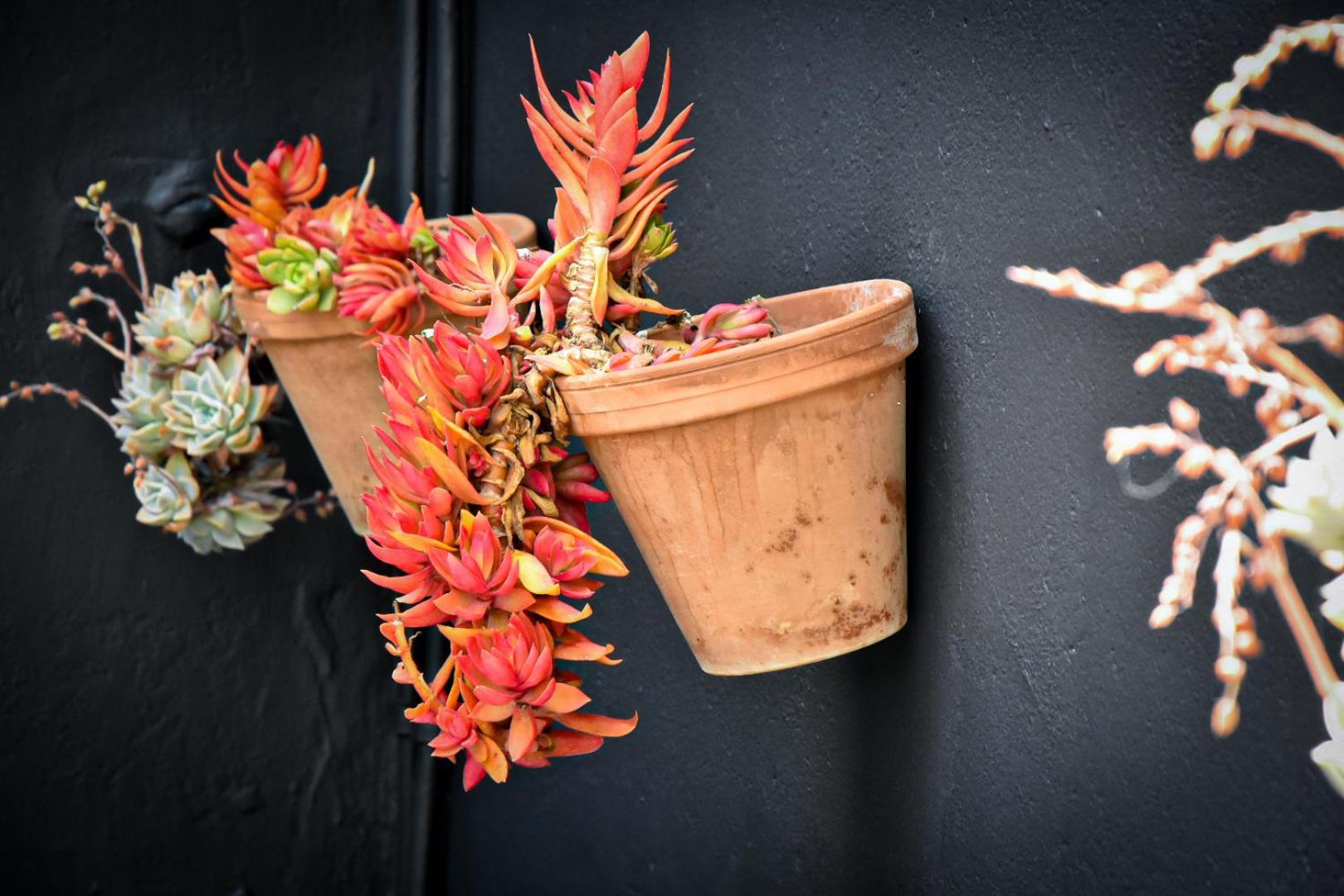 Beautiful Betty Guesthouse Beaufort West Eksteriør bilde